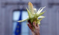 Китай диверсифицирует импорт кукурузы, полагаясь на Украину