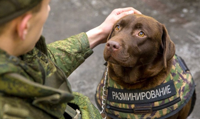 В Минске согласовали график разминирования на Донбассе