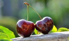 Експерти прогнозують зростання в Україні цін на черешні та вишні і можливий дефіцит